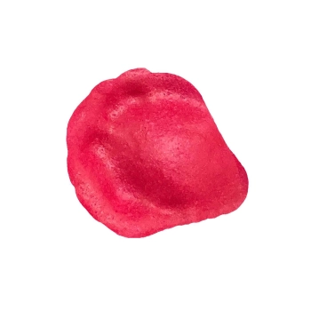 MELTING ROSE PETALS