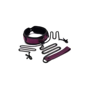 WHIPSMART DRAGONS LAIR COLLAR, LEASH & NIPPLE CLIPS SET