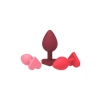 AMOUR THE PASSION OF LOVE ALLURING ANAL KIT