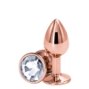 REAR ASSETS ROSE GOLD SMALL CLEAR