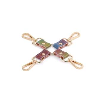 SPECTRA BONDAGE HOGTIE RAINBOW