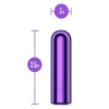 KOOL VIBES RECHARGEABLE MINI BULLET GRAPE