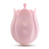 Stymulator łechtaczki Play With Me Romantic Rose różowy USB