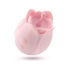 Stymulator łechtaczki Play With Me Romantic Rose różowy USB