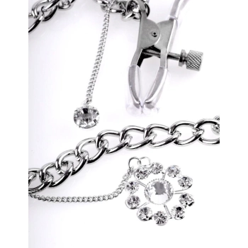 FFS Crystal Nipple Clamps