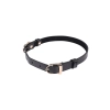 SEX AND MISCHIEF DOUBLE BUCKLE DAY COLLAR