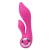 EVOLVED WILD ORCHID