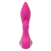 EVOLVED WILD ORCHID