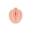 ALEXIS TEXAS REALISTIC VAGINA STROKER