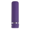 PETITE PURPLE PASSION