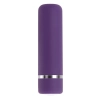PETITE PURPLE PASSION