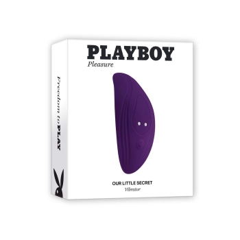 PLAYBOY OUR LITTLE SECRET