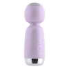 PLAYBOY ROYAL MINI