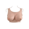 GENDER X UNDERGARMENTS - PLATE D-CUP LIGHT