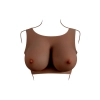 GENDER X UNDERGARMENTS - PLATE E-CUP DARK