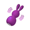 FEMMEFUNN BUNNY MASSAGER PURPLE