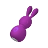 FEMMEFUNN BUNNY MASSAGER PURPLE