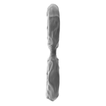 SHAFT DOUBLE C-RING MEDIUM GRAY