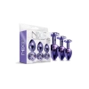 NIXIE METAL BUTT PLUGÂ TRAINERÂ SET, PURPLE METALLIC