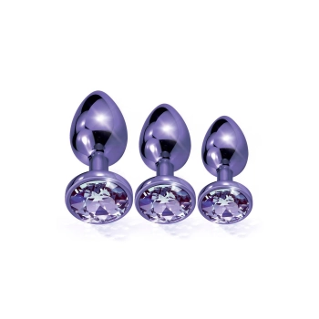 NIXIE METAL BUTT PLUGÂ TRAINERÂ SET, PURPLE METALLIC