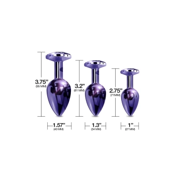NIXIE METAL BUTT PLUGÂ TRAINERÂ SET, PURPLE METALLIC