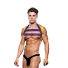 ENVY LOGO HARNESS BLUE YELLOW, L/XL
