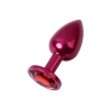 Red anal plug TOYFA Metal with a red colored gem
