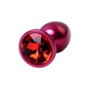 Red anal plug TOYFA Metal with a red colored gem