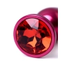 Red anal plug TOYFA Metal with a red colored gem