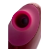Stymulator próżniowy Myrty bordowy USB 9,8 cm