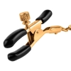 FFS Gold Chain Nipple Clamps