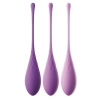 FFH Kegel Train-Her Set