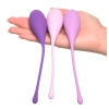 FFH Kegel Train-Her Set
