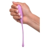 FFH Kegel Train-Her Set