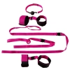 FFS Passion Bondage Kit