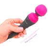 PalmPower Massager