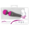 PalmPower Massager