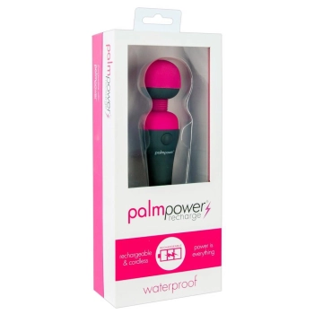Palm Power recharge