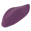 Sweet Smile RC Panty Vibrator