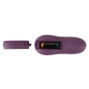 Sweet Smile RC Panty Vibrator