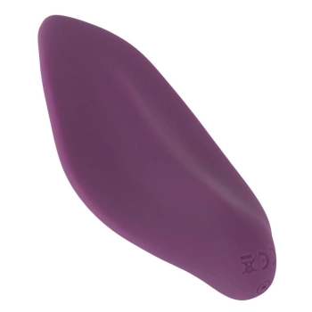 Sweet Smile RC Panty Vibrator