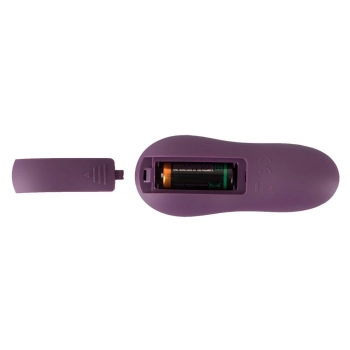 Sweet Smile RC Panty Vibrator