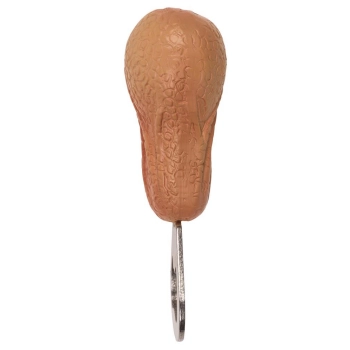 Bottle Opener