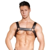 Leather Chest Harness
