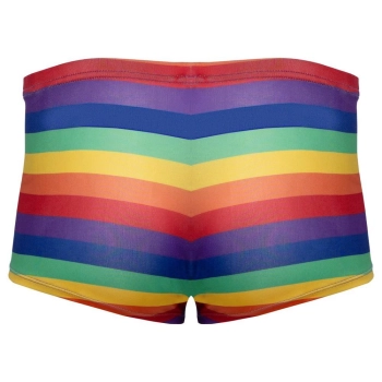 Mens Boxer Briefs Rainbow M
