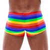Mens Boxer Briefs Rainbow L