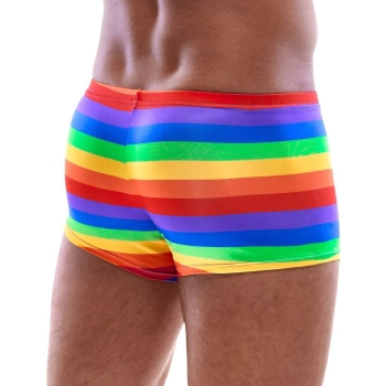 Mens Boxer Briefs Rainbow L