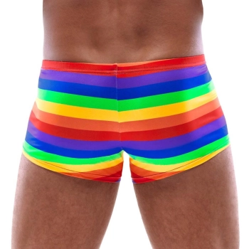 Mens Boxer Briefs Rainbow L