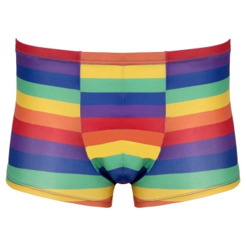Mens Boxer Briefs Rainbow XL