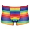 Mens Boxer Briefs Rainbow 2XL